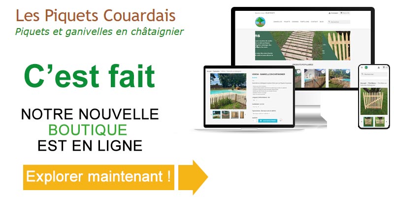 Image avec copies écran du site e-commerce