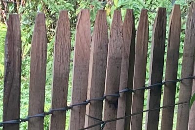 Photo d'une ganivelle à barreaux écartés de 2 cm