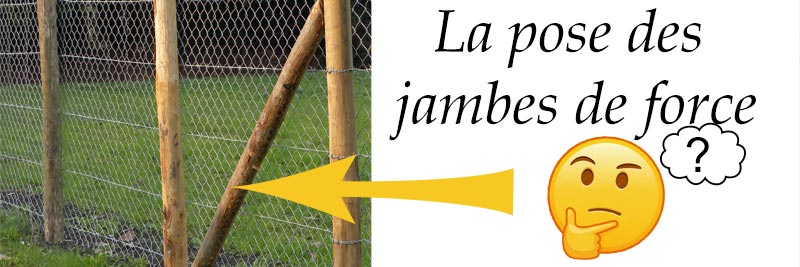Les jambes de force Photo de cloture avec jambes de force