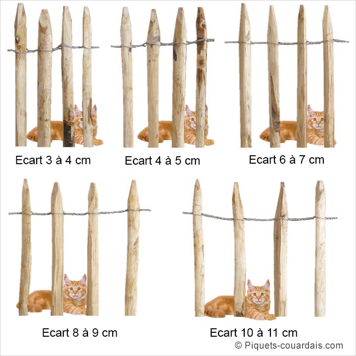 Ecarts des barreaux de ganivelle Echantillons pour comparaison des écarts de barreaux de ganivelle