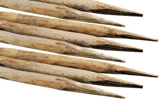 Piquets en bois