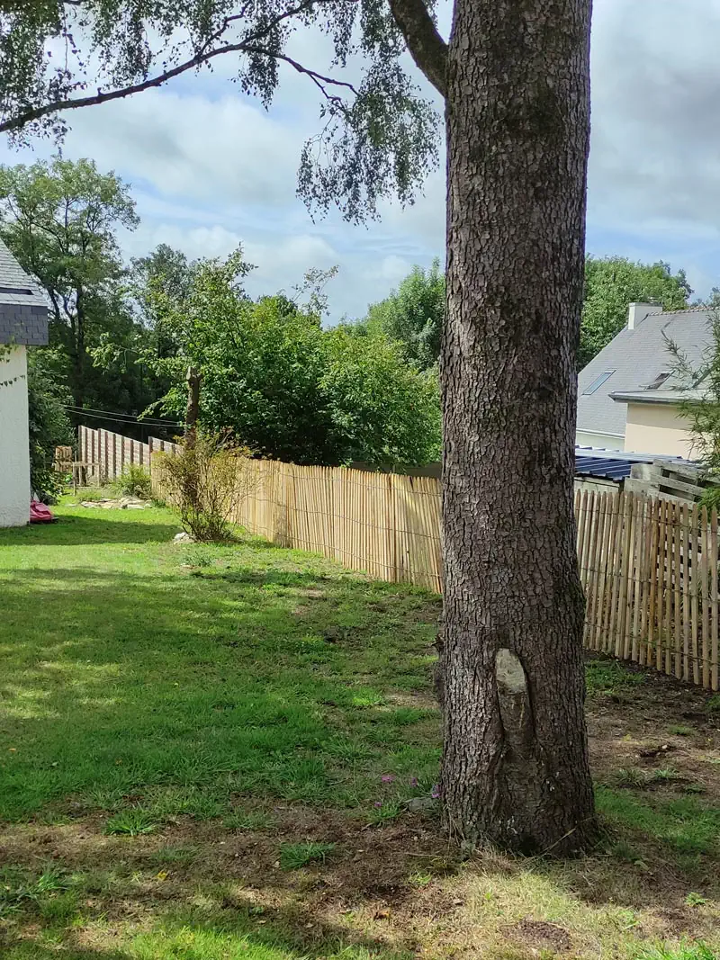 Clôture de sépation de copropriété Photo d'une clôture réalisée en ganivelle dans un jardin en copropriété