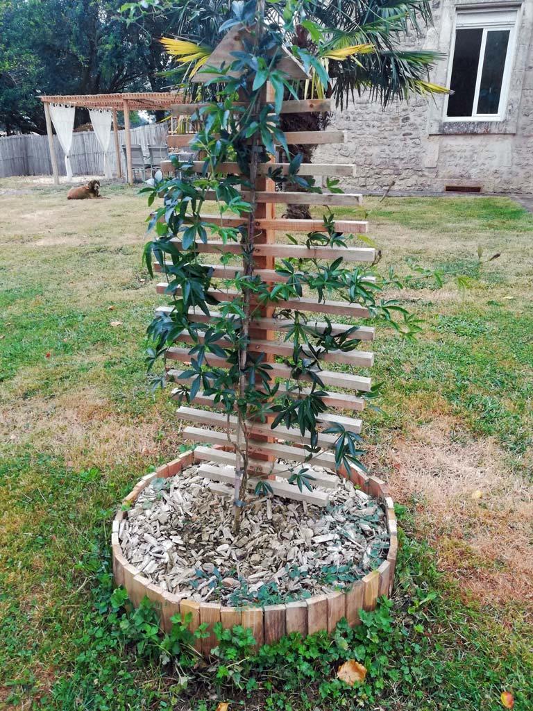 Kit de lattes en bois pour plante grimpante Support en lattes de bois pour plante grimpante