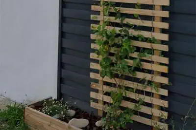Photo miniature du support de plante murale