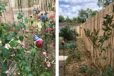 Photo miniature d'une ganivelle autour d'un jardin d'agrément